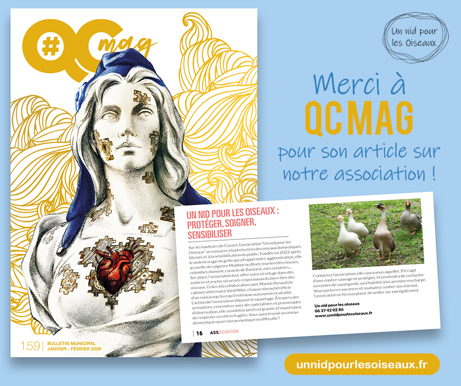 Article sur notre association dans QCMag