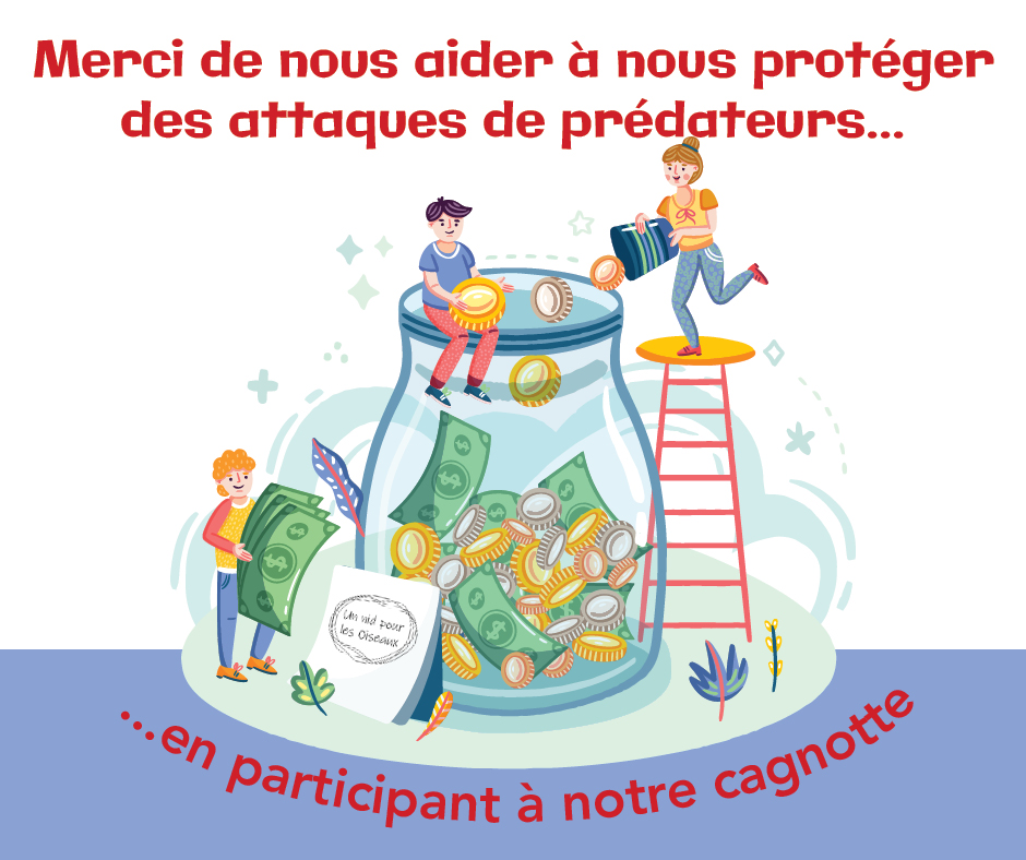 Cagnotte pour la protection du site